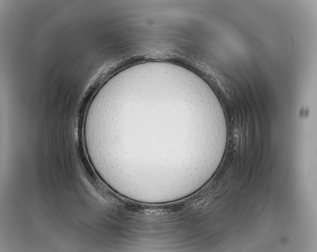 X0000097300686200803071753