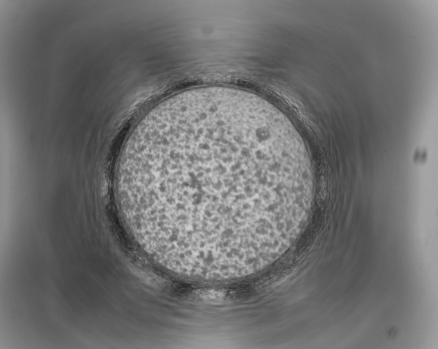 X0000097300687200803071753