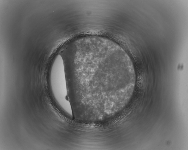 X0000097300688200803071753