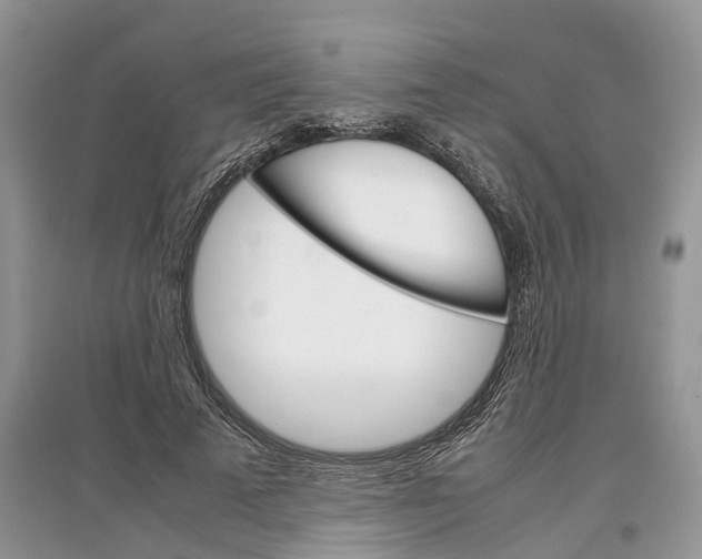 X0000097300689200803071753