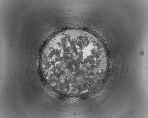 X0000097300691200803071753