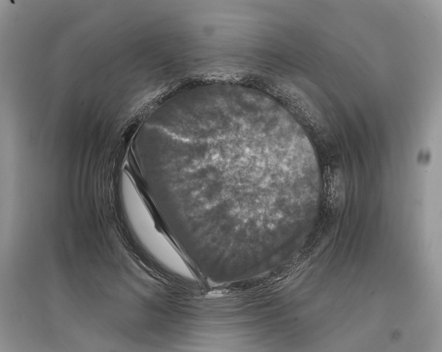 X0000097300692200803071752