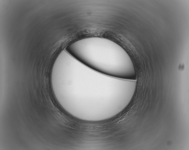 X0000097300693200803071752