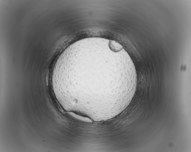 X0000097300694200803071752