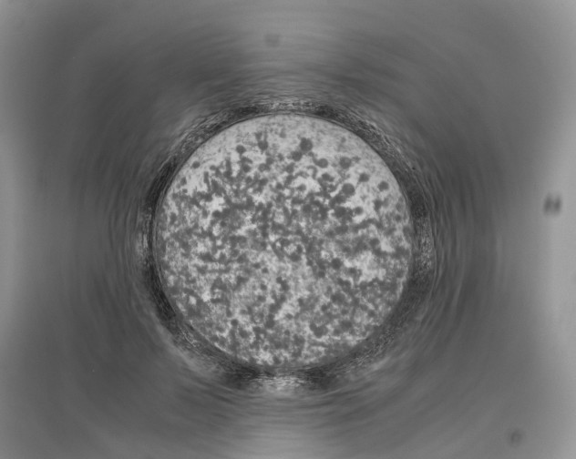 X0000097300695200803071752