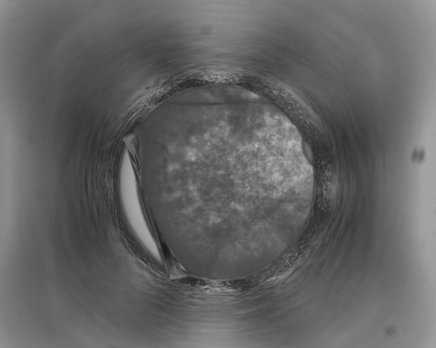 X0000097300696200803071752