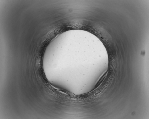 X0000097300697200803071752