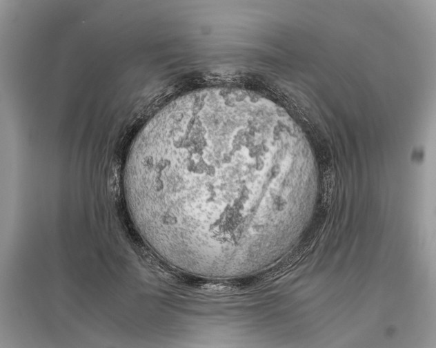 X0000097300699200803071752