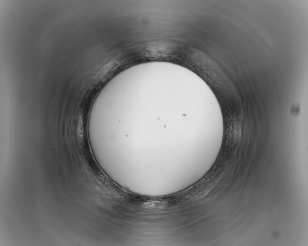 X0000097300700200803071752