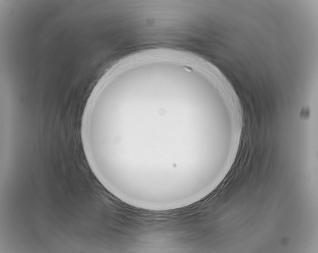 X0000097300701200803071752