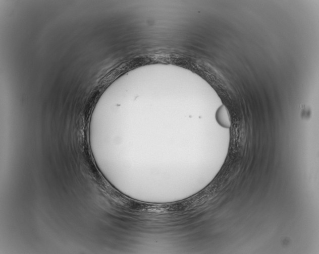 X0000097300702200803071752