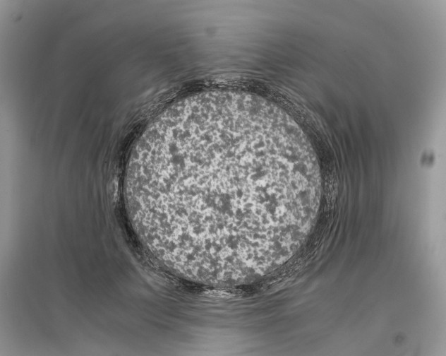 X0000097300703200803071752