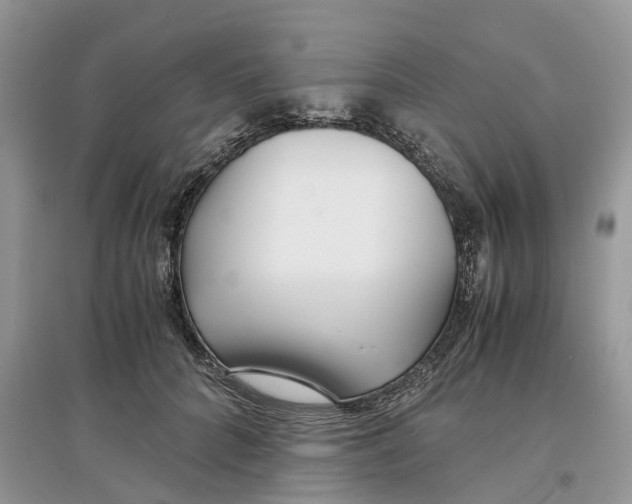 X0000097300704200803071752