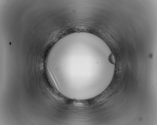 X0000097300706200803071752