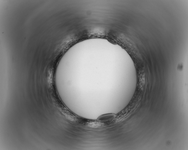 X0000097300708200803071752