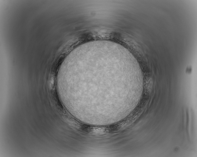 X0000097300709200803071752