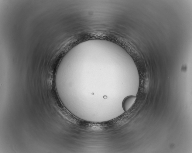 X0000097300710200803071752