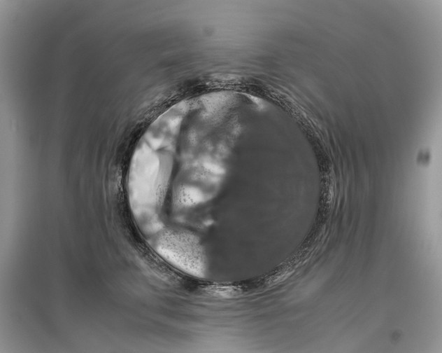 X0000097300711200803071752