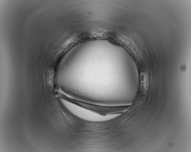 X0000097300712200803071752