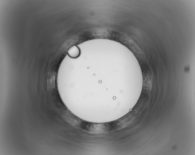 X0000097300717200803071752