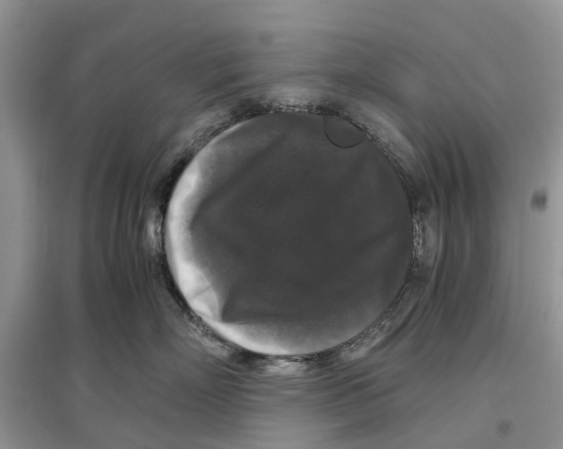 X0000097300718200803071752