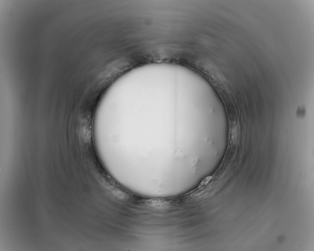 X0000097300719200803071752