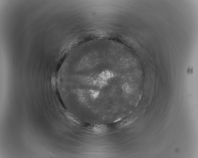 X0000097300720200803071752