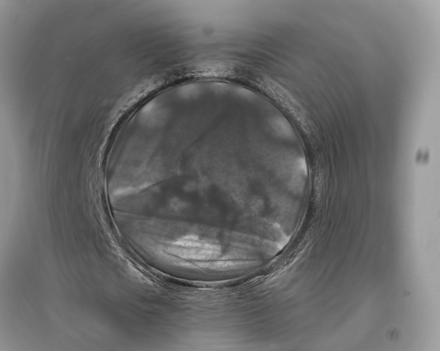 X0000097300721200803071752