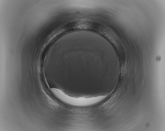 X0000097300722200803071752