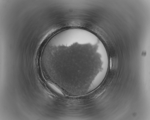 X0000097300723200803071752