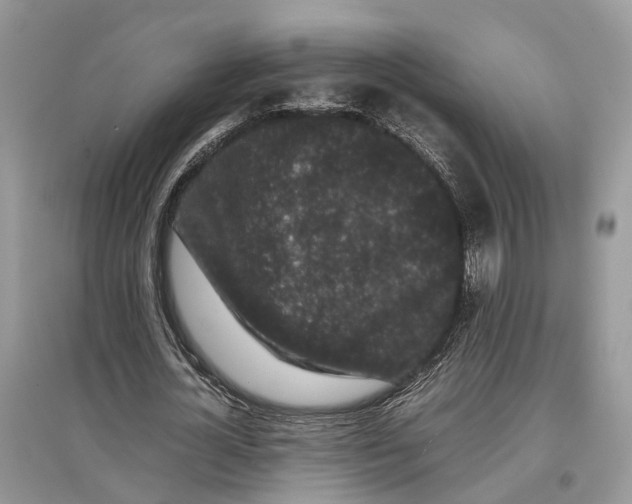 X0000097300724200803071752