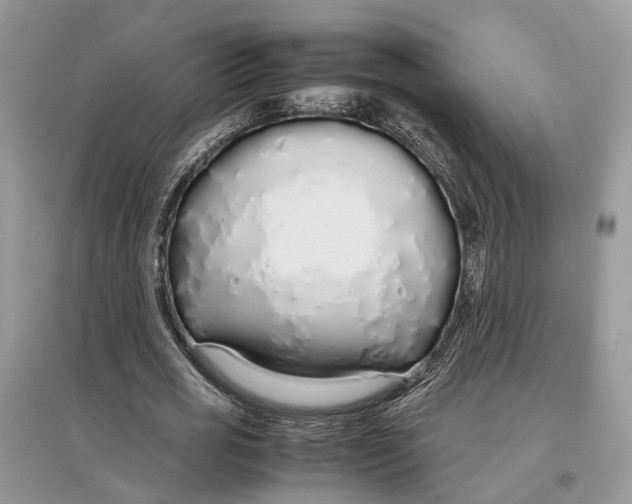 X0000097300725200803071752