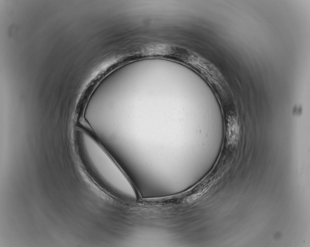 X0000097300726200803071752