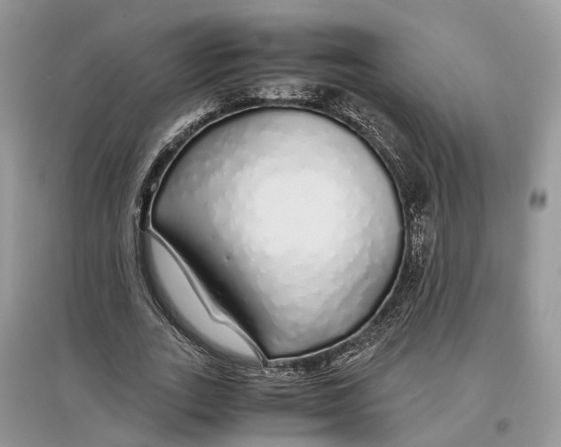 X0000097300727200803071752