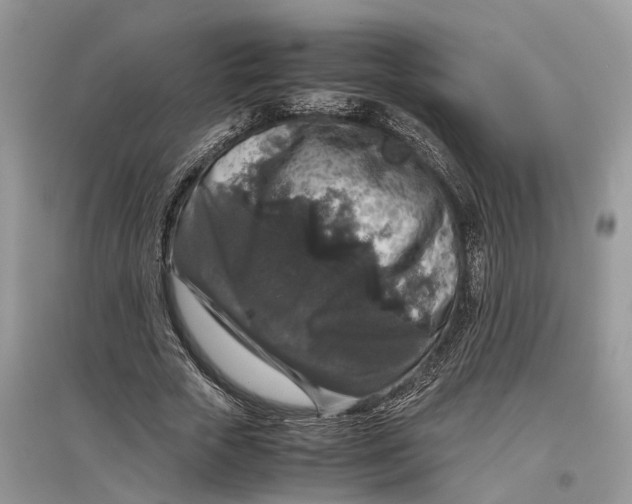 X0000097300729200803071752