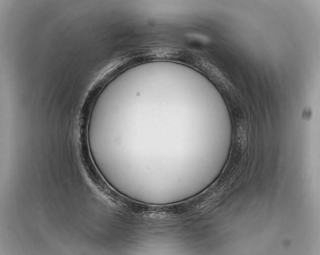 X0000097300730200803071752