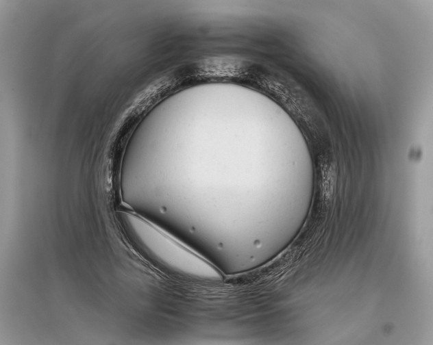 X0000097300731200803071752