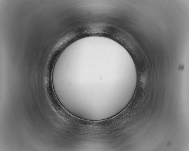 X0000097300732200803071752