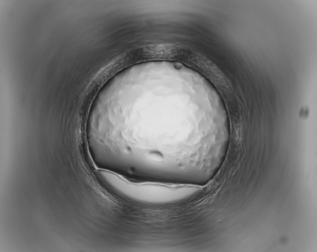 X0000097300733200803071752