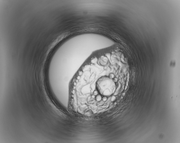 X0000097300734200803071752