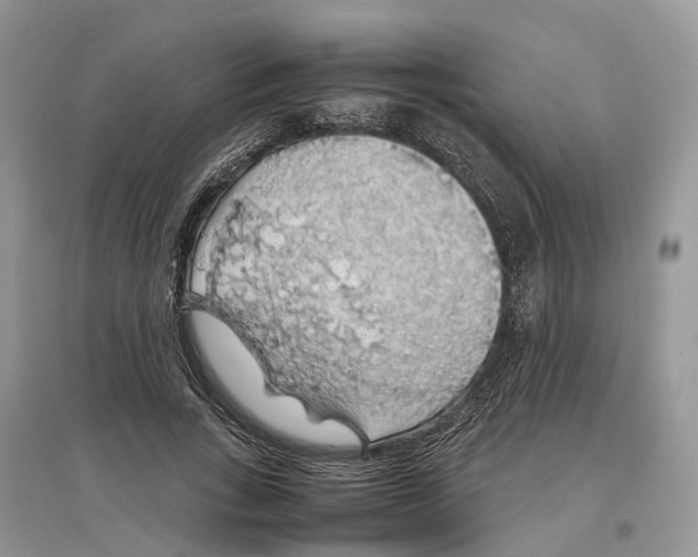 X0000097300735200803071752