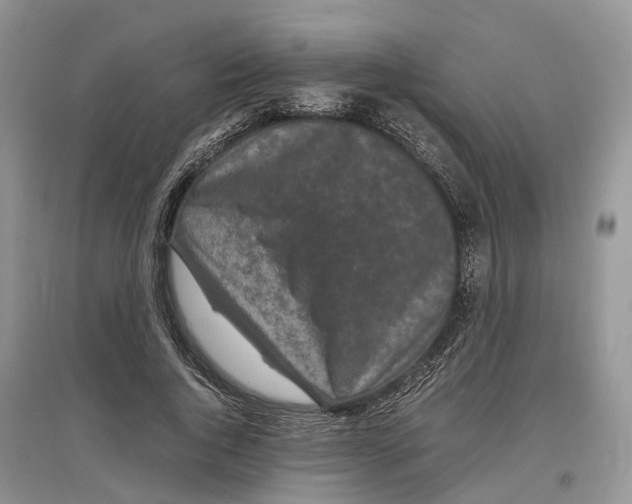 X0000097300736200803071752