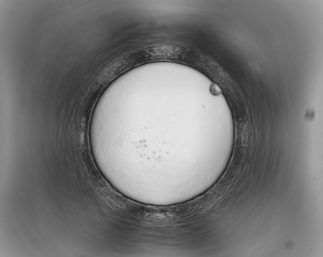 X0000097300737200803071752