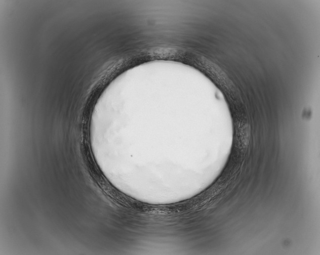 X0000097300738200803071752