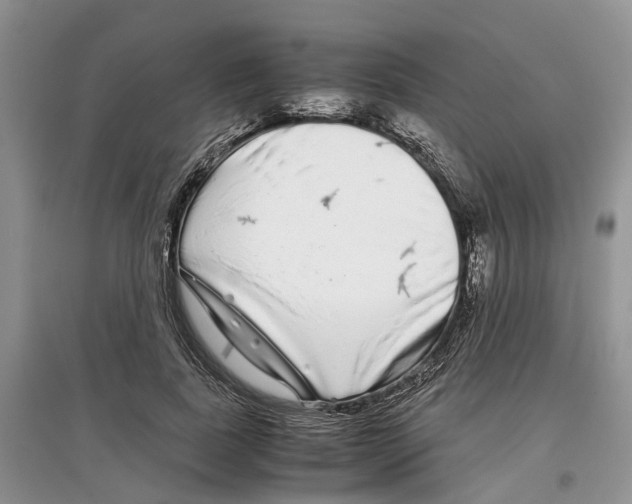 X0000097300739200803071752