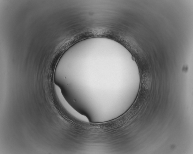 X0000097300740200803071752