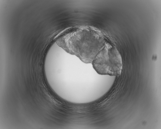 X0000097300741200803071752