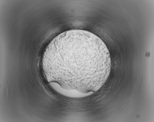 X0000097300742200803071752