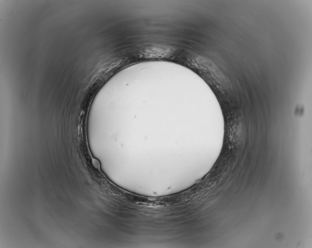 X0000097300743200803071752