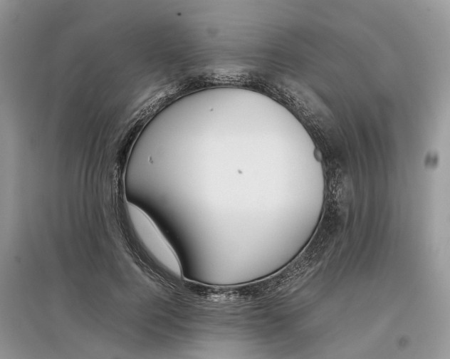 X0000097300744200803071752